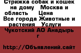 Стрижка собак и кошек на дому.  Москва и область.  › Цена ­ 1 200 - Все города Животные и растения » Услуги   . Чукотский АО,Анадырь г.